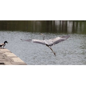 为固定源排污监管执法提供有力保障