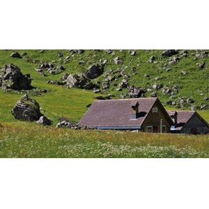 如何实现二氧化碳排放达峰？