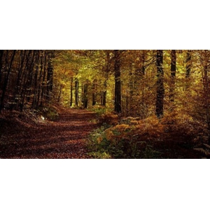 基本消除重污染天气要从现在做起